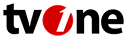 Media Partner